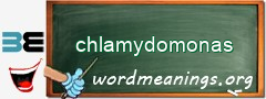 WordMeaning blackboard for chlamydomonas